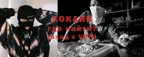 сатива Дмитровск