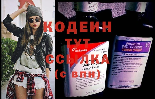 сатива Дмитровск