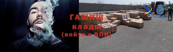 сатива Дмитровск