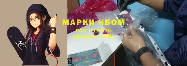 сатива Дмитровск