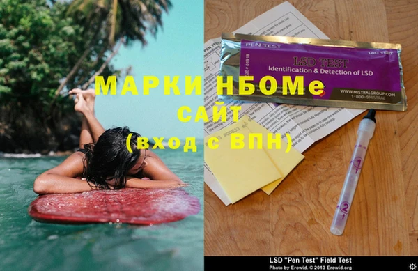 сатива Дмитровск