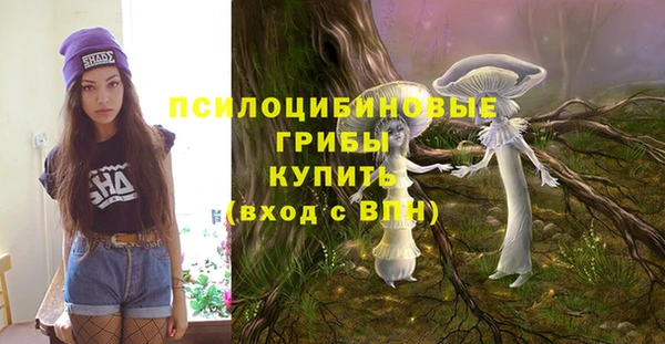 mix Дмитров