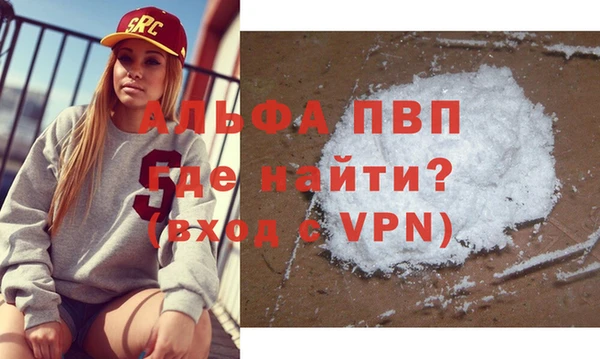 сатива Дмитровск