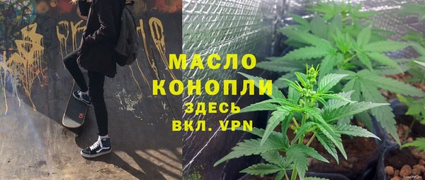 сатива Дмитровск