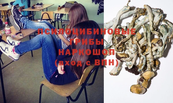 сатива Дмитровск