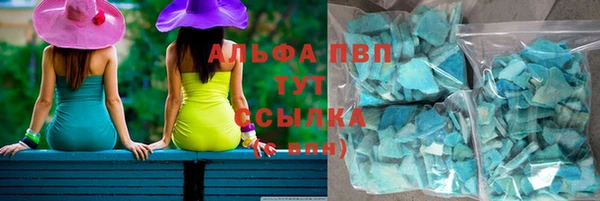сатива Дмитровск