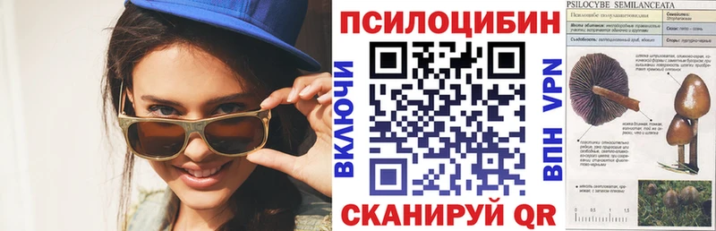 Псилоцибиновые грибы Magic Shrooms  МЕГА ссылка  Заринск 
